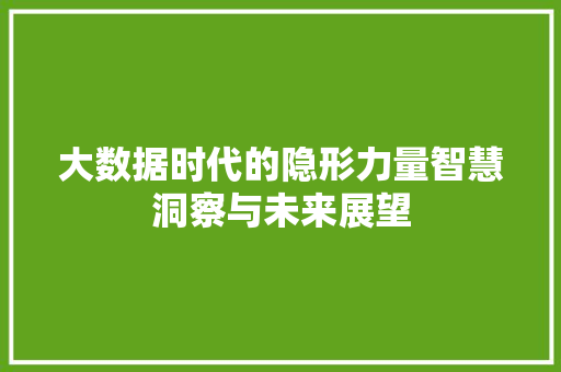 大数据时代的隐形力量智慧洞察与未来展望  第1张