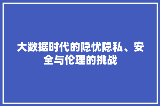 大数据时代的隐忧隐私、安全与伦理的挑战  第1张
