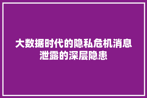 大数据时代的隐私危机消息泄露的深层隐患  第1张
