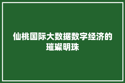仙桃国际大数据数字经济的璀璨明珠