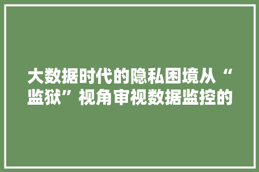 大数据时代的隐私困境从“监狱”视角审视数据监控的边界  第1张