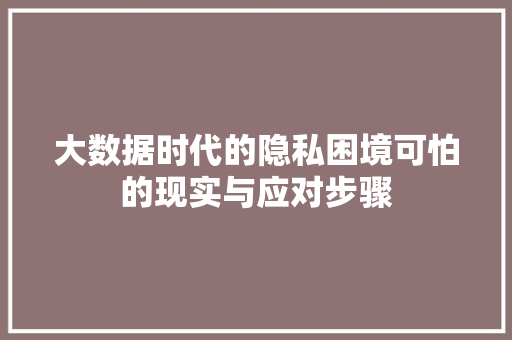 大数据时代的隐私困境可怕的现实与应对步骤  第1张