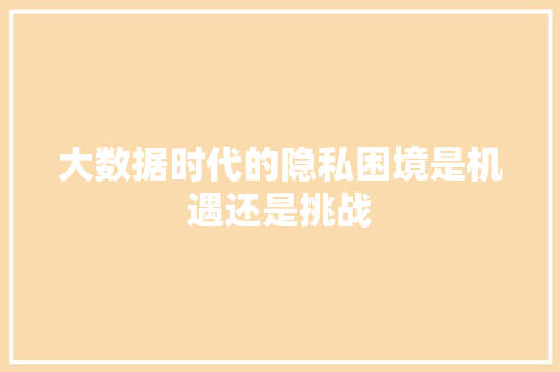 大数据时代的隐私困境是机遇还是挑战  第1张