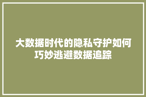 大数据时代的隐私守护如何巧妙逃避数据追踪  第1张
