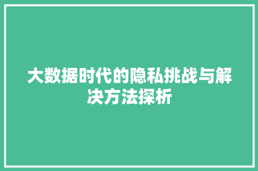 大数据时代的隐私挑战与解决方法探析  第1张