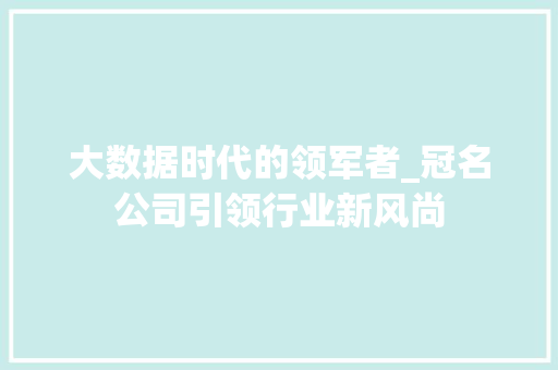 大数据时代的领军者_冠名公司引领行业新风尚