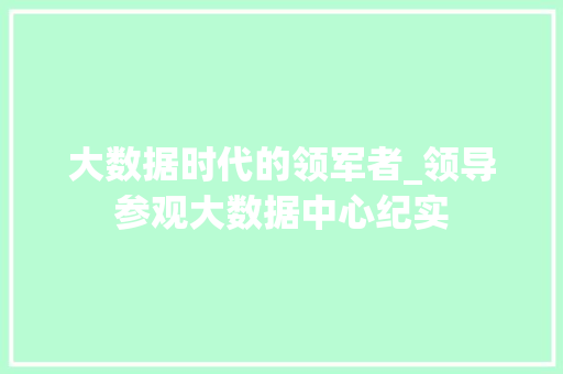 大数据时代的领军者_领导参观大数据中心纪实