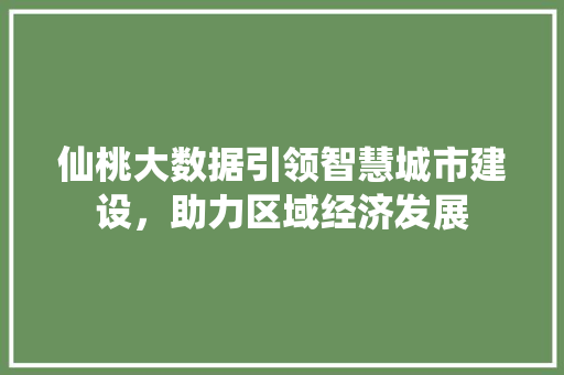 仙桃大数据引领智慧城市建设，助力区域经济发展