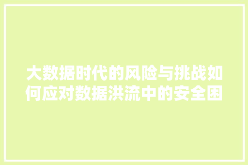 大数据时代的风险与挑战如何应对数据洪流中的安全困境  第1张