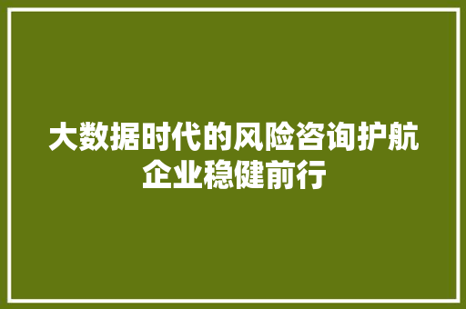 大数据时代的风险咨询护航企业稳健前行  第1张