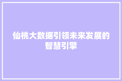 仙桃大数据引领未来发展的智慧引擎