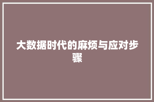 大数据时代的麻烦与应对步骤  第1张