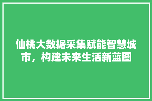 仙桃大数据采集赋能智慧城市，构建未来生活新蓝图