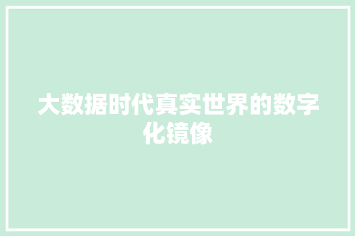 大数据时代真实世界的数字化镜像  第1张