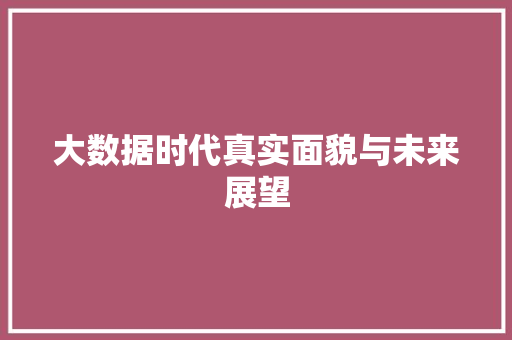大数据时代真实面貌与未来展望  第1张
