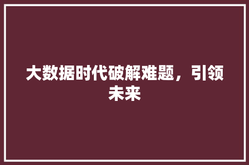 大数据时代破解难题，引领未来  第1张