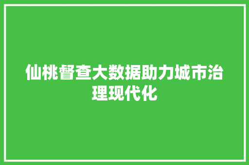 仙桃督查大数据助力城市治理现代化  第1张