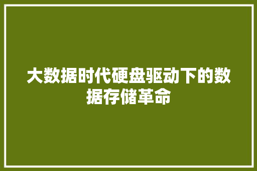 大数据时代硬盘驱动下的数据存储革命