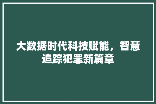 大数据时代科技赋能，智慧追踪犯罪新篇章