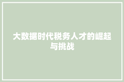 大数据时代税务人才的崛起与挑战  第1张