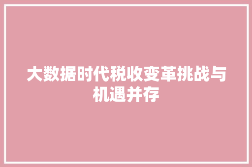 大数据时代税收变革挑战与机遇并存  第1张