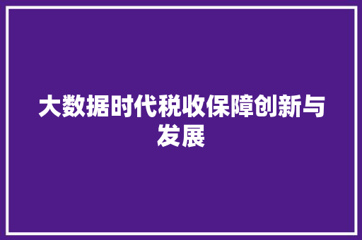 大数据时代税收保障创新与发展  第1张