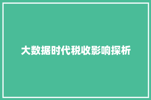 大数据时代税收影响探析  第1张