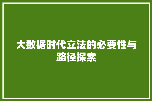 大数据时代立法的必要性与路径探索  第1张