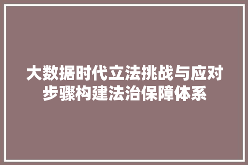 大数据时代立法挑战与应对步骤构建法治保障体系  第1张