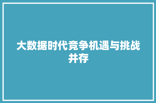 大数据时代竞争机遇与挑战并存  第1张