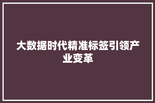 大数据时代精准标签引领产业变革  第1张
