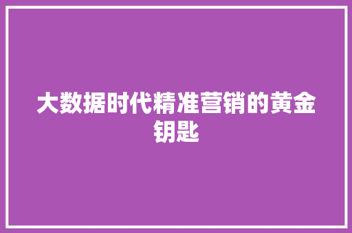 大数据时代精准营销的黄金钥匙  第1张