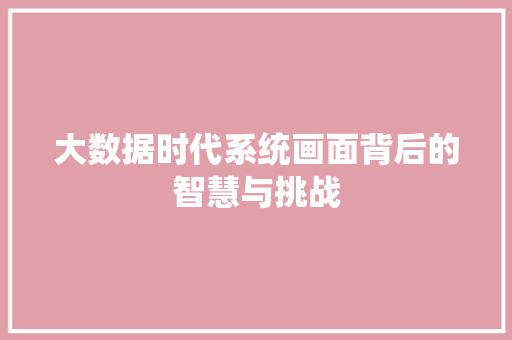 大数据时代系统画面背后的智慧与挑战