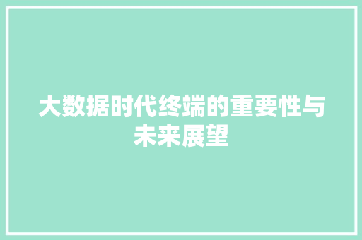 大数据时代终端的重要性与未来展望