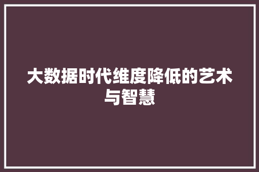 大数据时代维度降低的艺术与智慧