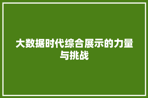 大数据时代综合展示的力量与挑战