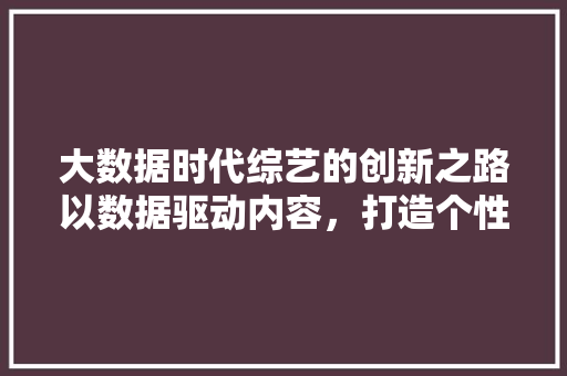 大数据时代综艺的创新之路以数据驱动内容，打造个性化视听盛宴