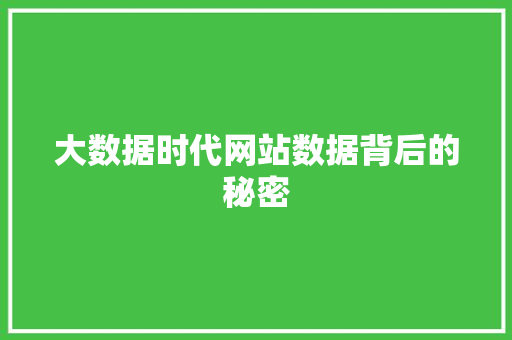 大数据时代网站数据背后的秘密  第1张