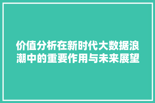 价值分析在新时代大数据浪潮中的重要作用与未来展望