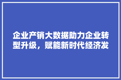 企业产销大数据助力企业转型升级，赋能新时代经济发展