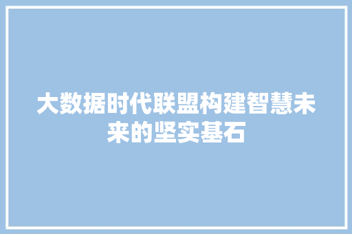 大数据时代联盟构建智慧未来的坚实基石  第1张