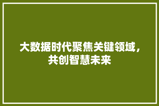 大数据时代聚焦关键领域，共创智慧未来