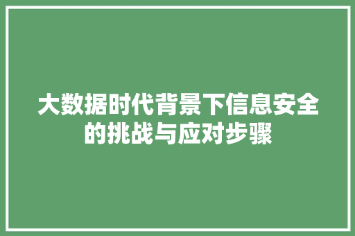 大数据时代背景下信息安全的挑战与应对步骤  第1张