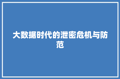 大数据时代的泄密危机与防范  第1张