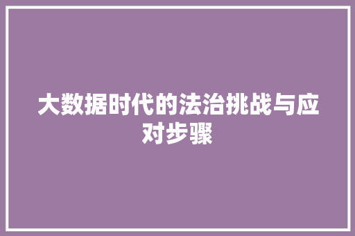 大数据时代的法治挑战与应对步骤  第1张