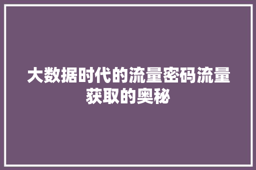 大数据时代的流量密码流量获取的奥秘