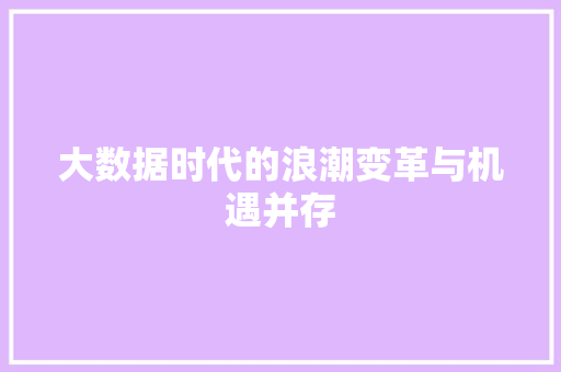 大数据时代的浪潮变革与机遇并存  第1张