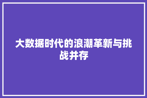 大数据时代的浪潮革新与挑战并存