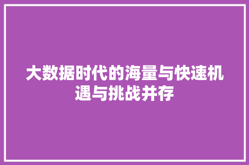 大数据时代的海量与快速机遇与挑战并存