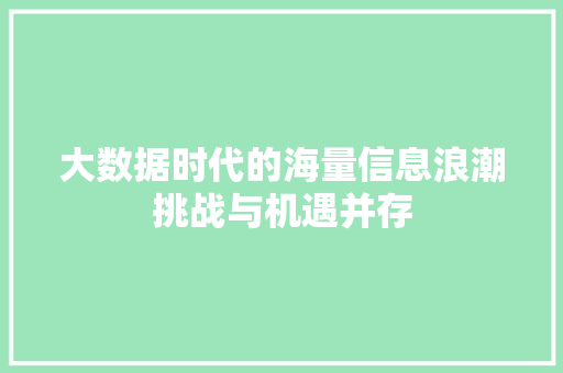 大数据时代的海量信息浪潮挑战与机遇并存